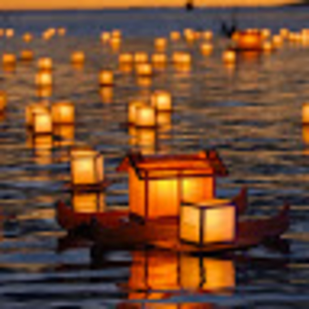 Meet your Posher, Addy